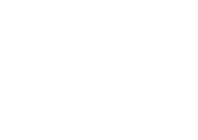 Boon logo